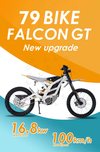2025 GT Falcon GT off Road 8.5Kw 100kmh Dirt Bike <span class=keywords><strong>moto</strong></span> elettrica 79 bici Falcon GT - Product Image 5