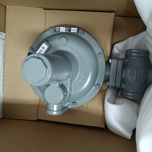 Reductor de Gas 243-8 DC1702-110011000 para SENSUS en Stock - Product Image 2