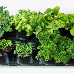 Jardinera Vertical con Sistema de Riego Automático para Jardinería Interior y Exterior, para Hierbas, Vegetales y Flores - Product Image 3