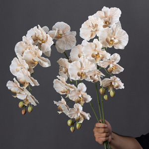 Orchidée Phalaenopsis à 9 têtes, texture filmée, pour <span class=keywords><strong>d</strong></span>écoration florale de mariage, centre de table haut de gamme pour la maison et la salle à manger, artificielle - Product Image 2