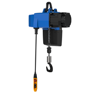 CE ISO approuvé D2C025 Mini palan électrique 250kg Servo chaîne pour équipement industriel 220V avec poignée E3