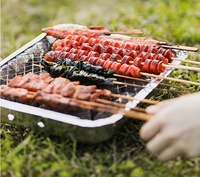 Gril instantané Portable, facile à nettoyer, camping en plein air, charbon de bois, mini barbecue jetable