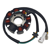 Stator magnétique compatible avec les motos Beta RR 2T 4T Xtrainer, pièces OEM 026100050000 026.10.005.00.00