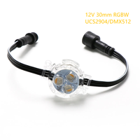 Lampes à points LED RGBW 12V/24V 3 LED 30mm UCS2904, éclairage de piste permanent, extérieur, étanche IP68, lumières de Noël pour usage domestique