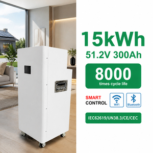 แบตเตอรี่ลิเธียม Solar Lifepo4 14kWh 15kWh 51.2V 280Ah 300Ah สำหรับระบบโซลาร์บ้าน พร้อมล้อเลื่อน - Product Image 1