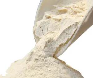Harina de gluten de trigo orgánica de alta calidad 82% 25kg polvo de grado alimenticio