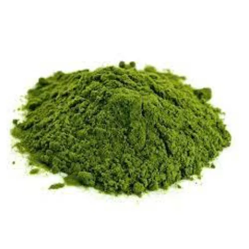 Sıcak satış sulforafan brokoli çiçek özü 4% glukosinolatlar brokoli filiz tozu