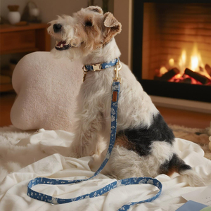 Correa de plomo de perro cómoda de algodón personalizada moderna suave con moda ajustable y estampado encantador accesorio al por mayor OEM ODM - Product Image 1