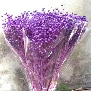Guansen Décoration Bohème Fleurs <span class=keywords><strong>de</strong></span> Haricots d'Acacia Séchées et Conservées Colorées Haricots Riches Naturels pour Décorations <span class=keywords><strong>de</strong></span> Noël et <span class=keywords><strong>de</strong></span> <span class=keywords><strong>la</strong></span> Fête des Mères - Product Image 3