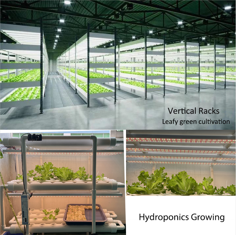 IP65 Hydroponics T5 Grow Lights, 4ft Full Spectrum 20W LED Light