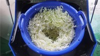 Centrifugeuse à légumes commerciale essoreuse à salade et machine de déshydratation des pommes de terre avec noyau PLC et composants de moteur