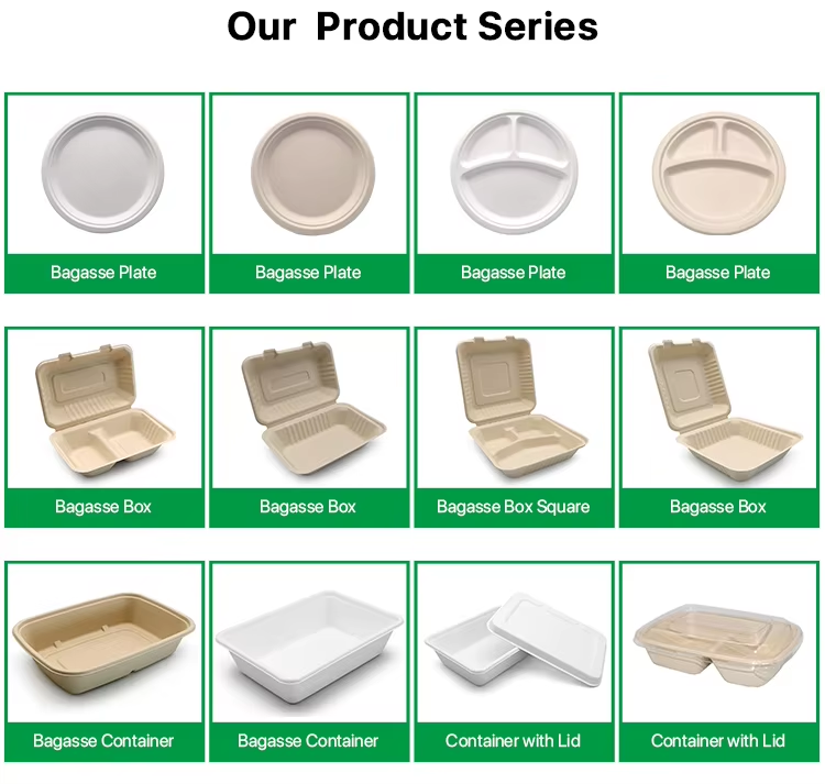 Sugarcane Bagasse Pulp 100% Biodegradable Disposable Take Away Food ...
