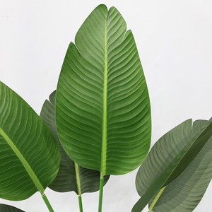 Palmera Artificial de Lujo de Alta Gama 2026 con Textura Realista para Decoración de Interiores y Exteriores en Hogar, Oficina y Jardín - Product Image 5