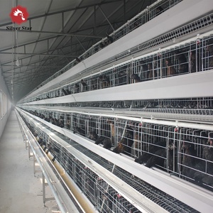 Cage à poules pondeuses à <span class=keywords><strong>prix</strong></span> abordable / Cage pour poules pondeuses / Cage à poulets à <span class=keywords><strong>vendre</strong></span> - Product Image 2