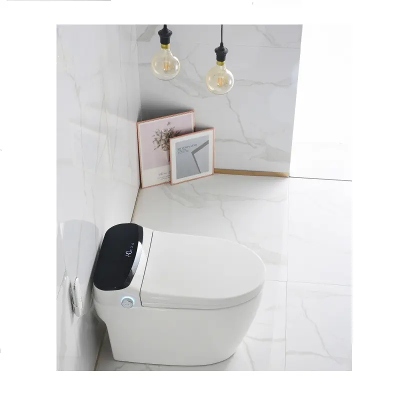Keramik Smart Toilet Intelligente Spülung Kunden spezifische Toilette