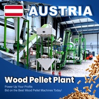 Ligne de production de granulés de bois RICHI ATEX, conception personnalisée, usine de production de granulés de bois à partir de sciure de bois d'épinette et de hêtre, biomasse, à vendre en Autriche