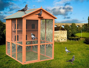 Volière d'extérieur classique en bois de sapin durable avec fermeture à bouton, nichoir et cage pour pigeons géants toutes saisons - Product Image 5