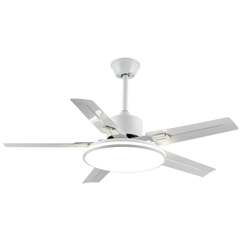 ดาวน์ร็อดสีขาว