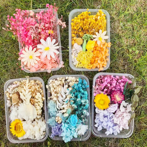 Kit <span class=keywords><strong>de</strong></span> fleurs séchées DIY pour bougies parfumées, accessoires <span class=keywords><strong>de</strong></span> fabrication <span class=keywords><strong>de</strong></span> cartes, fleurs séchées artisanales, petites fleurs <span class=keywords><strong>de</strong></span> <span class=keywords><strong>pampa</strong></span> - Product Image 1