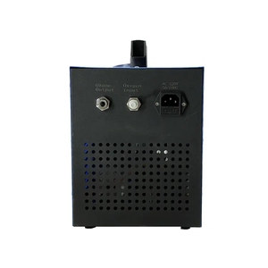 이중 용도 10G 오존 발생기 가정용 공기/수처리 정화 및 소독기 가스 처리 기계 - Product Image 4