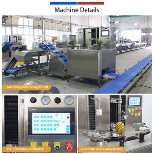 4in1 Pineapple Peeling, Coring, End Cutter and Wedge Cutter Machine Automatic Fruit Pineapple Peeling Machine - Product Image 3