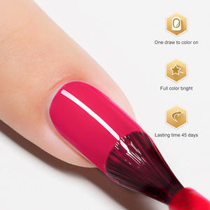 Ailanuo เซ็ตยาทาเล็บเจลยูวี LED แบบแช่โลโก้ได้6สีสั่งติดฉลากได้ตามต้องการ - Product Image 4