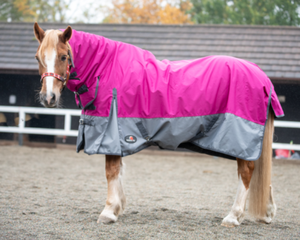 น้ำหนักเบาปานกลาง100G Turnout พรม600D มาตรฐานคอมโบกันน้ำพรมฤดูหนาว - Product Image 3