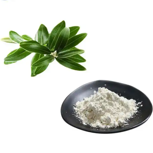Ácido Oleanólico Extrato de Folha de Oliveira Grau Alimentício 99% Puro Orgânico Certificado Potenciadores Nutricionais em Pó Fornecedor a Granel CAS 508-02-1 - Product Image 1