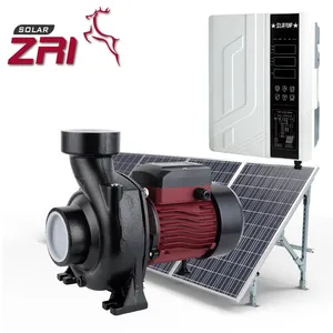 Zri MPPT 컨트롤러 3 인치 관개 태양 전원 물 DC 태양 펌프 깊은 우물