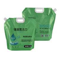 Sachets Doypack Personnalisés Imprimés, Imperméables, Thermoscellables pour Lessive, en PET/NY/PE, Impression Gravure