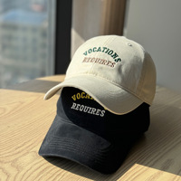 Casquette en coton personnalisée OEM, coton lavé, calotte souple pour hommes et femmes
