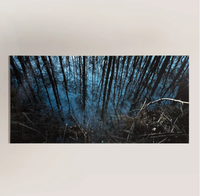 Impression photographique "Cache-cache" faite à la main en métal HD et art acrylique