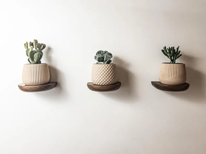 Mini colgadores de pared de madera curvada de Color nogal moderno, conjunto de estantes flotantes, sala de estar, galería, decoración del hogar, colgador de pared - Product Image 3