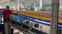 Hete Verkoop Drank Fruit Koolzuurhoudende Drank Productielijn Omvat Belangrijke Machines Met Glazen Flessen Warmtewisselaar Mixer