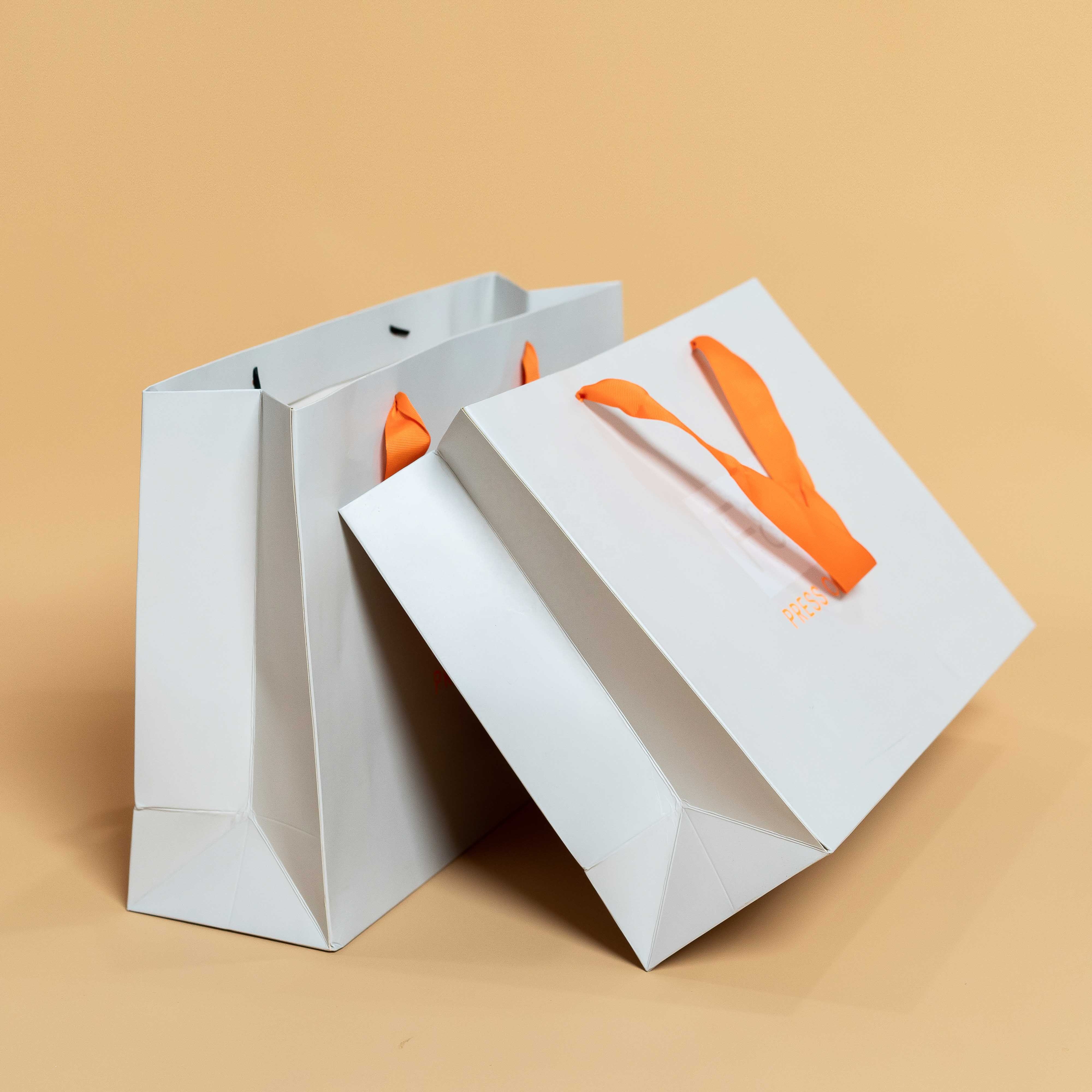 Printed Gift Paper Bags Clothing Luxury Packaging Paper Bag for Clothes