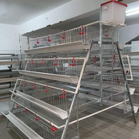 Cages à poulets WIN à 3/4 niveaux pour 20 000 poules, équipement d'élevage avicole, conception directe usine