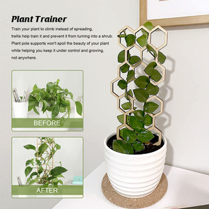 <span class=keywords><strong>Plantes</strong></span> en treillis <span class=keywords><strong>pour</strong></span> la maison, <span class=keywords><strong>Support</strong></span> d'escalade Vertical, Arrangement de fleurs, <span class=keywords><strong>Support</strong></span> de forme géométrique en <span class=keywords><strong>bois</strong></span> - Product Image 5