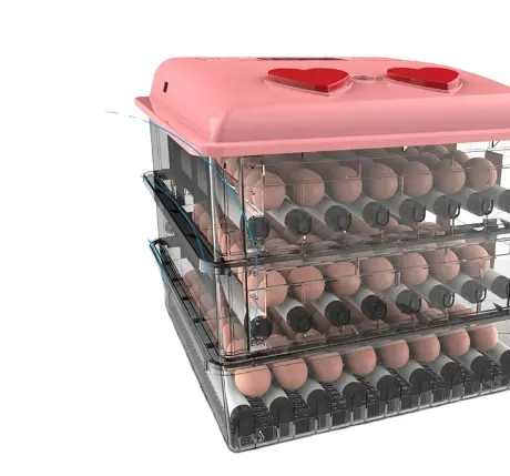 Incubadoras de ovos Preços Incubadora de ovos de temperatura Incubadora de ovos de pato automática