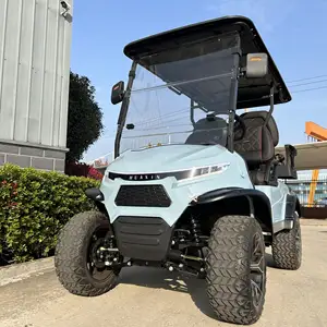 Good Price 2/4/6 Seater Golf Carts Sightseeing Bus 48v/72v Golf Carts Electric Vehicle Price