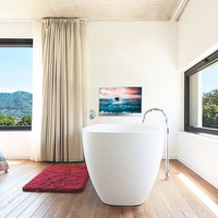 Téléviseur intelligent de salle de bain avec écran tactile Android de 22 pouces, étanche, miroir caché avec Internet Wifi BT