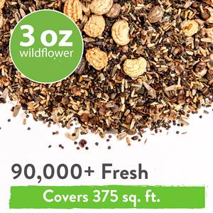 HOME GROWN 90,000 + Mélange de fleurs sauvages vivaces en vrac - Product Image 2