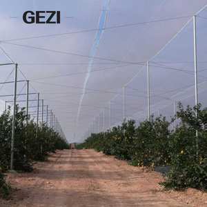 ตาข่ายคลุม<span class=keywords><strong>ป้องกัน</strong></span>ศัตรูพืช GEZI HDPE สำหรับสวนองุ่น มะม่วง ปลา รถยนต์ สตรอว์เบอร์รี ต้นไม้ผลไม้ (25-80 เมช) - Product Image 3