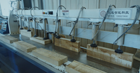 Machine de façonnage linéaire et courbe de porte en bois CNC