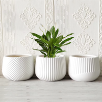 Nouveau tupperware conteneur 2026 noir en céramique Pot de fleur hôtel extérieur Non cassable fleur Vase grands Pots pour plantes utilisation au sol