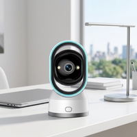 Caméra WiFi OEM ODM PTZ d'intérieur avec vision nocturne couleur, Wi-Fi 360 degrés, large champ de vision, garantie 1 an, moniteur bébé