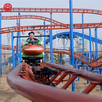 Wahana Hiburan Taman Bermain Besar, Permainan Seru, Roller Coaster Crazy Mouse Jalur Panjang untuk Keluarga, Dijual