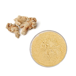 Supplément de qualité médicale 80% saponines totales Extrait de racine de <span class=keywords><strong>Notoginseng</strong></span> Extrait de Panax <span class=keywords><strong>Notoginseng</strong></span> Panaxoside, Notoginsenosides - Product Image 1