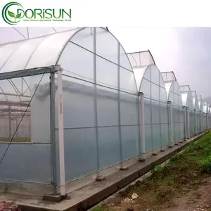 زراعة بي اي، صوبة زجاجية متعددة الانتشار للزراعة باستخدام نظام الزراعة المائية