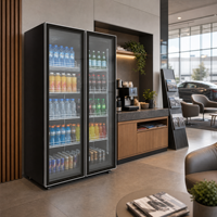 Réfrigérateur de présentation de vin et de bière à double paroi en verre, refroidi par air, pour hôtels et bars, directement de l'usine