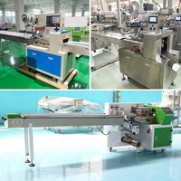 Machine automatique de scellage d'emballage d'emballage en plastique végétal d'oreiller de puissance de brosse de tissu de serviette pour le savon de barre